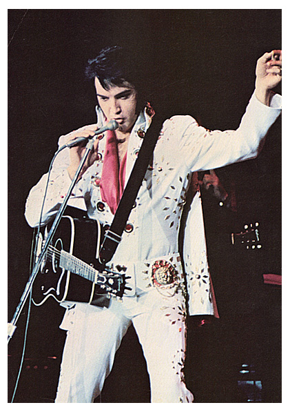 elvis p ev re15 mic
